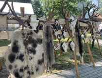 2024 Šilutės MŽD 75-metų jubiliejus