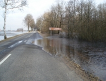 Pavasario potvynis Žalgirio miške ir pievose