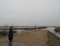 Pavasario potvynis Žalgirio miške ir pievose