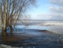 Pavasario potvynis Žalgirio miške ir pievose