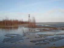 Pavasario potvynis Žalgirio miške ir pievose