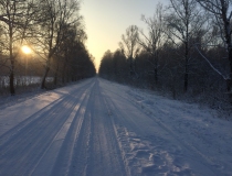 Pavasario potvynis Žalgirio miške ir pievose