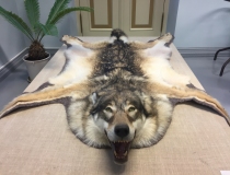 Medžiotojų sumedžiotų trofėjų parodos ir konkursai 