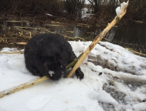 Sustabdytos akimirkos