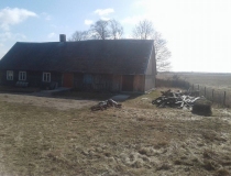 Sustabdytos akimirkos