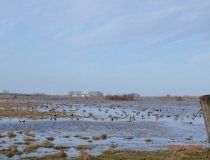 Sustabdytos akimirkos