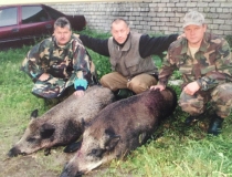 Sustabdytos akimirkos