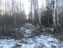 Sustabdytos akimirkos