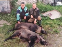 Sustabdytos akimirkos