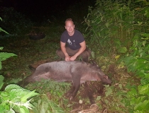 Sustabdytos akimirkos