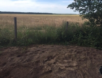 Sustabdytos akimirkos