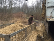 Sustabdytos akimirkos