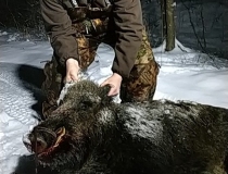 Sustabdytos akimirkos