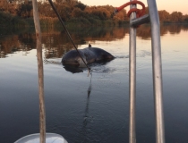 Sustabdytos akimirkos