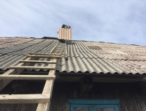 Sustabdytos akimirkos