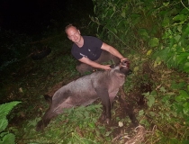 Sustabdytos akimirkos