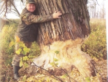 Sustabdytos akimirkos