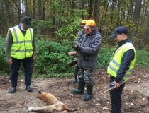 Varominės medžioklės momentai