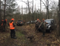 Varominės medžioklės momentai