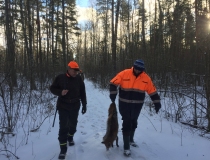 Varominės medžioklės momentai