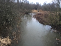 Varominės medžioklės momentai