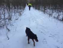 Varominės medžioklės momentai