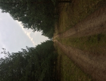 Varominės medžioklės momentai