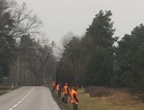 Varominės medžioklės momentai