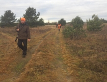 Varominės medžioklės momentai