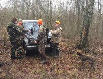 Varominės medžioklės momentai