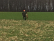 Varominės medžioklės momentai