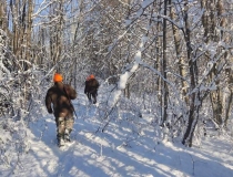 Varominės medžioklės momentai