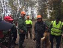 Varominės medžioklės momentai