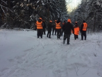 Varominės medžioklės momentai