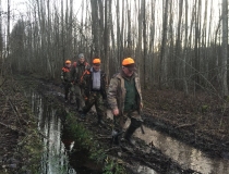 Varominės medžioklės momentai