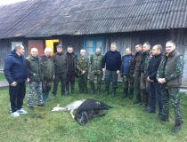 Varominės medžioklės momentai