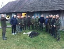 Varominės medžioklės momentai