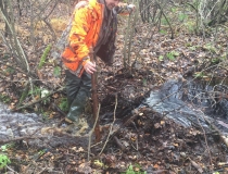 Varominės medžioklės momentai