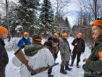 Varominės medžioklės momentai