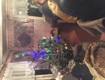 Varominės medžioklės momentai