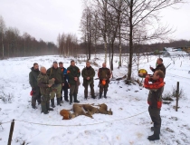 Varominės medžioklės momentai