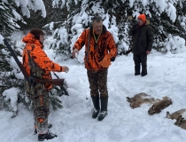 Zuikių medžioklė 2023