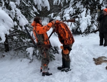 Zuikių medžioklė 2023