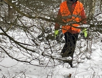 Zuikių medžioklė 2023